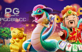 星空电竞app2024最新版